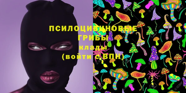 прущие грибы Абдулино