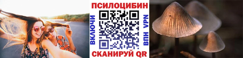купить   Назрань  Галлюциногенные грибы мицелий 